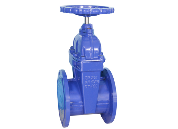 Resilient Seated Gate Valve