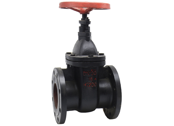 gate valve